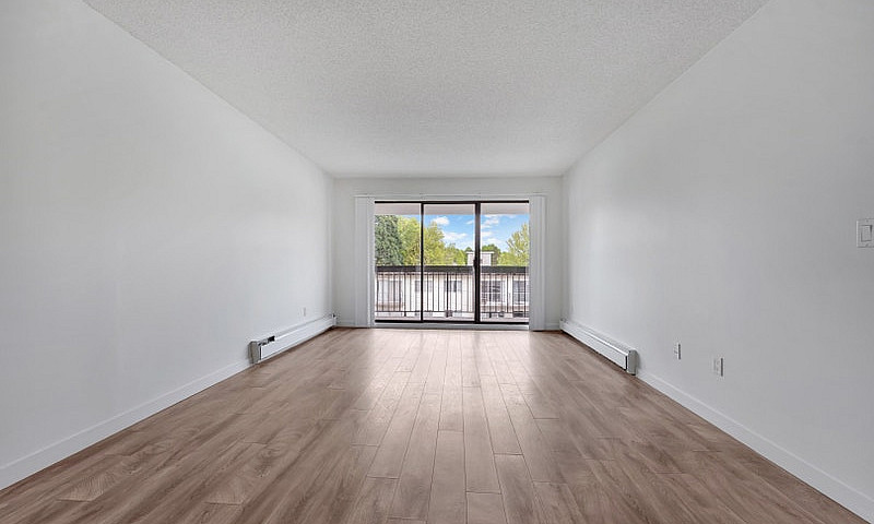 1 Bedroom Apartment ...