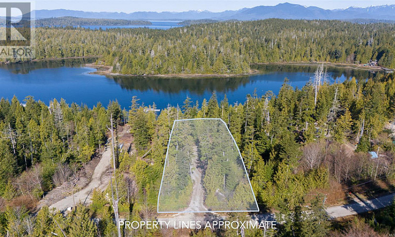 Lot 9 South Bamfield...