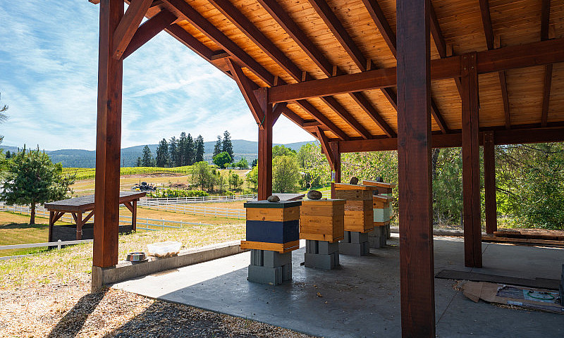 9.56 Acre Country Es...