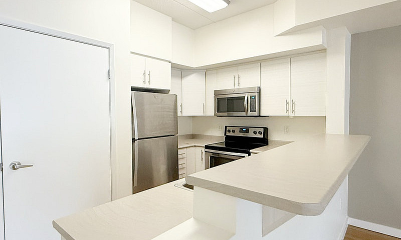 Dalhousie - 1 Bed / ...