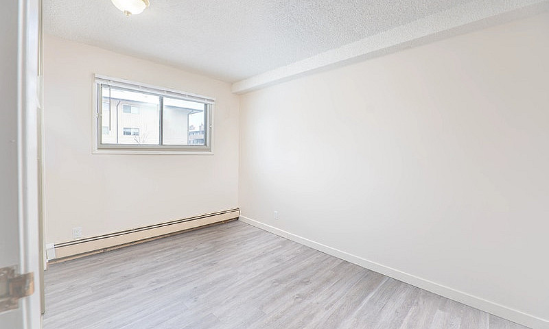Bachelor, 1 Bedroom ...