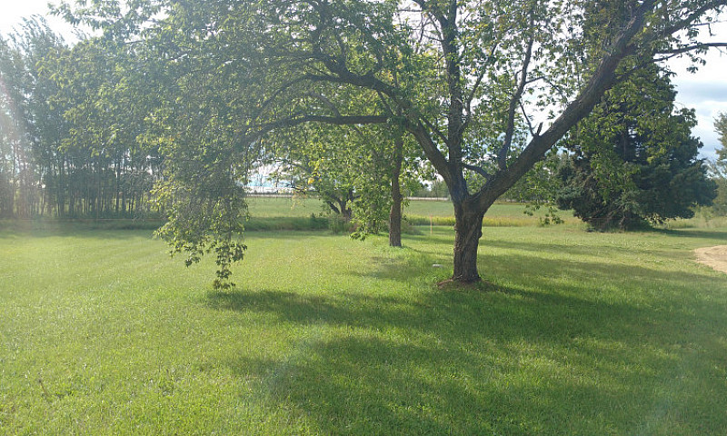 Brownvale Estates...