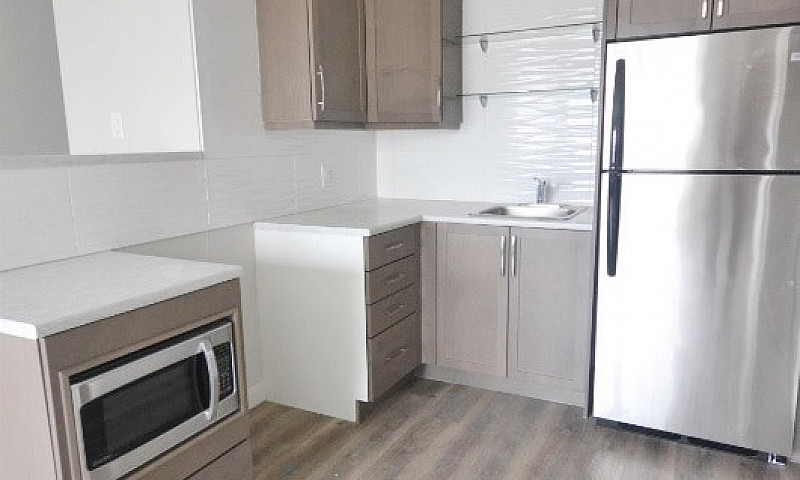 Renovated 1 Bedroom,...