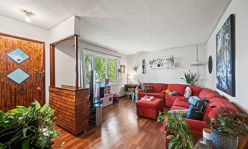 Open House! - 517 Ha...