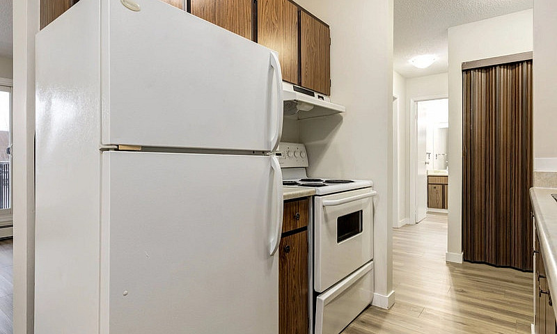 Spacious Apartments ...