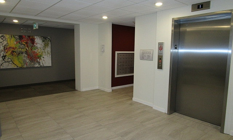 Kensington 1 Bed Con...
