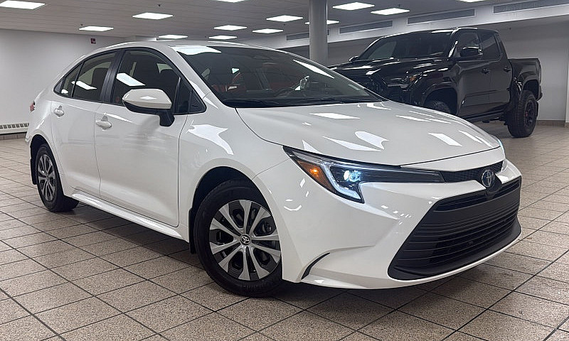 2025 Toyota Corolla ...