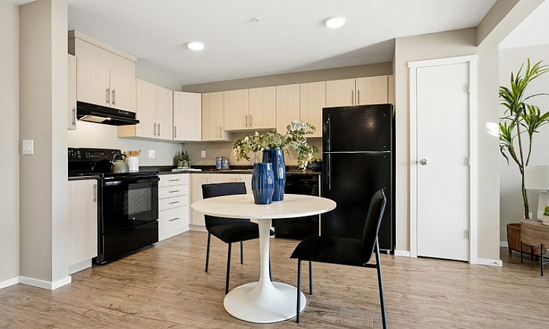 Pet-Friendly Three B...