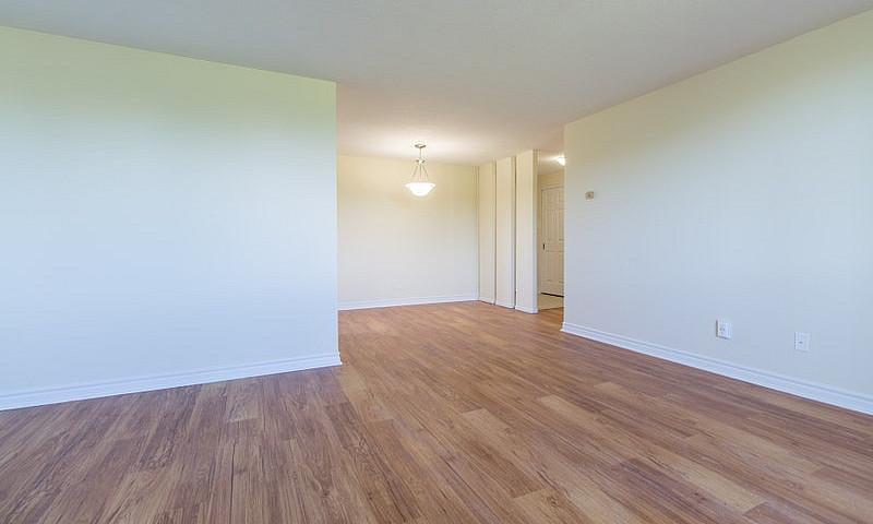 1 Bedroom Apartment ...