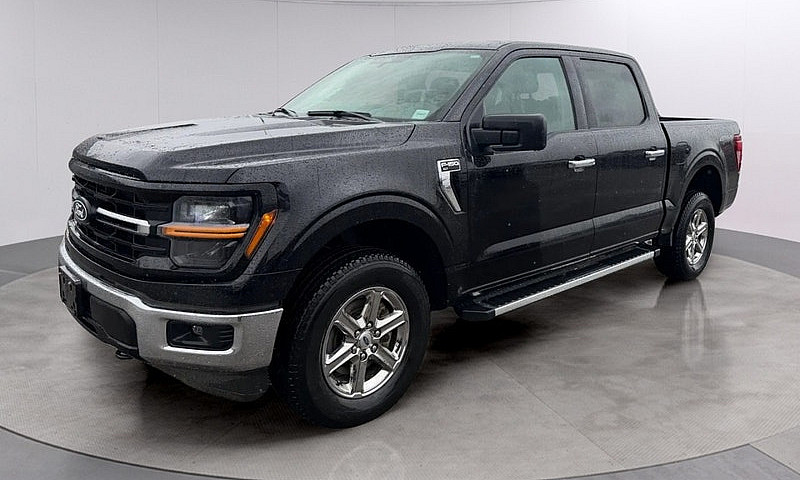 2025 Ford F-150 Xlt ...