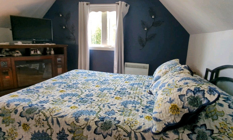 Beautiful Renovated ...