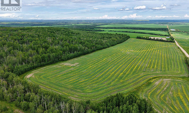 231 Road Dawson Cree...