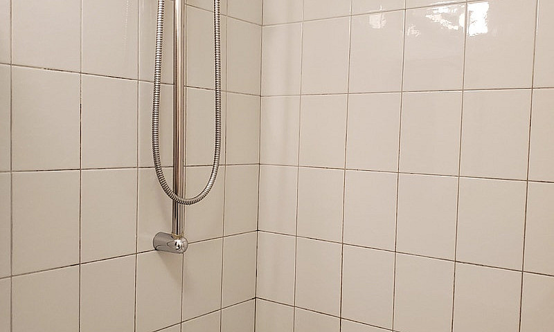 Logement À Louer 41/...