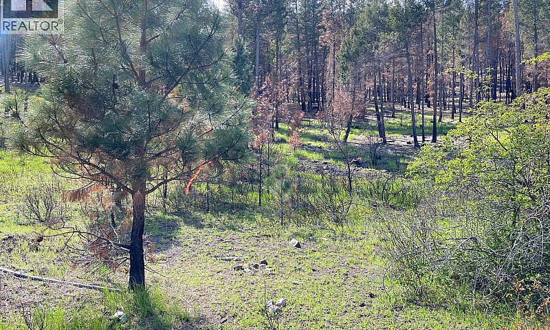 Lot 2 Westside Road ...