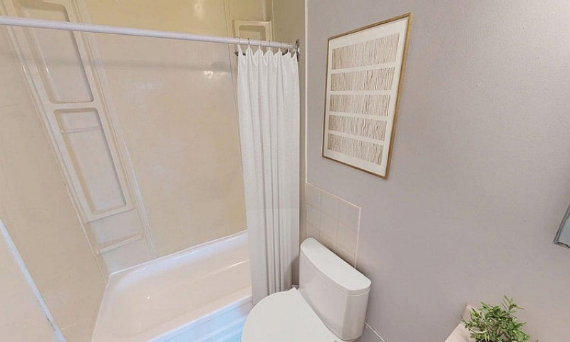 255 Stewart Street: ...