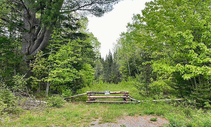 Beautiful 5 Acre Lot...