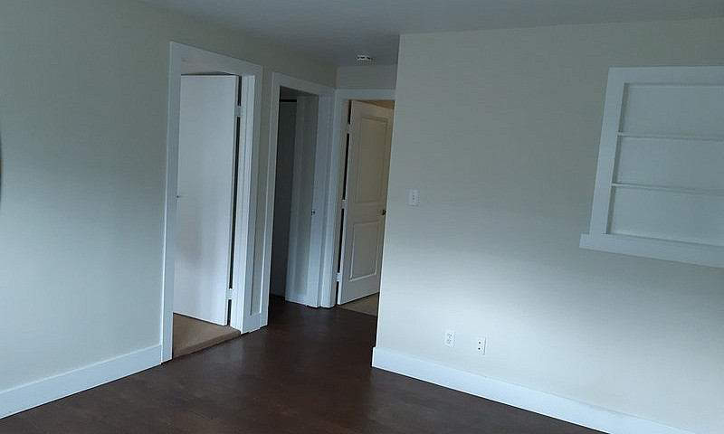 Basment Suite...
