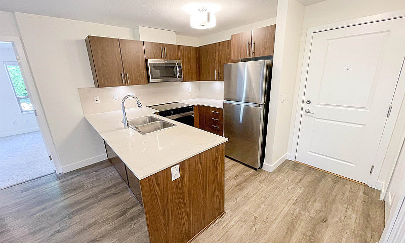 207 8915 202 Street ...