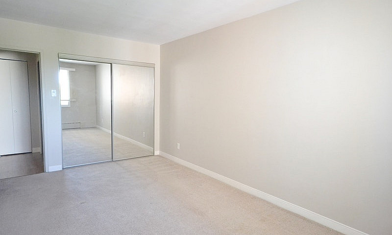 Bright And Renovated...