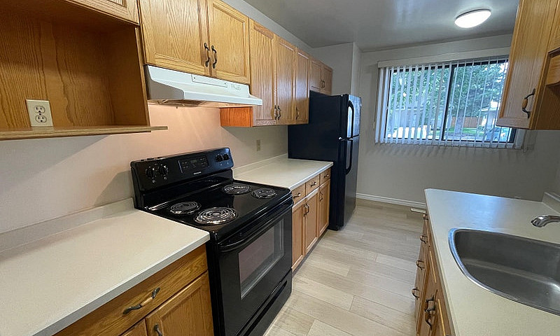 Newly Renovated 3 Be...