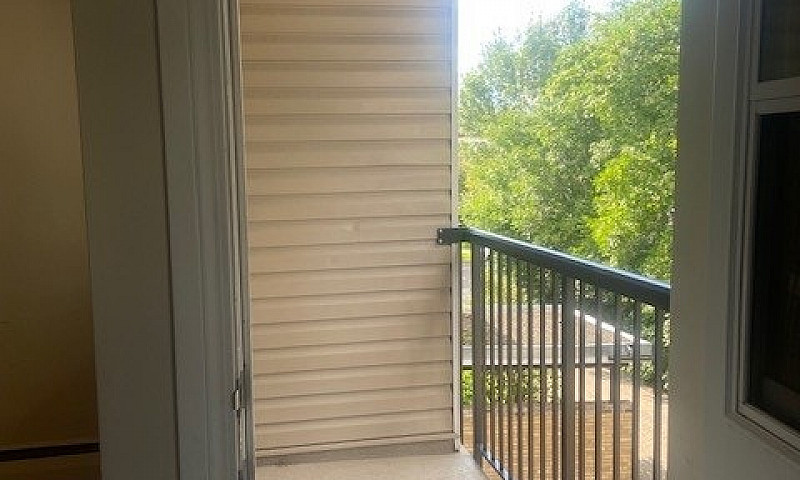1 Bed 1 Bath Unit In...