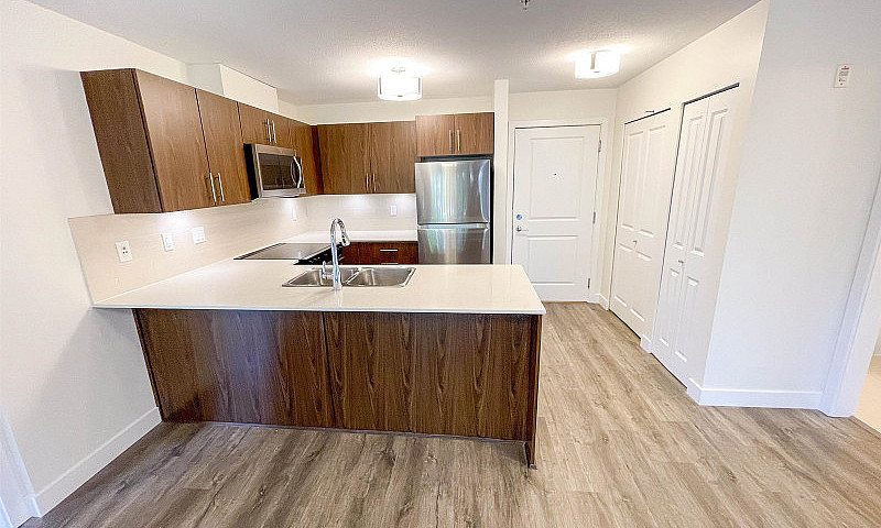 207 8915 202 Street ...