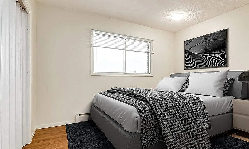 Spacious And Pet-Fri...