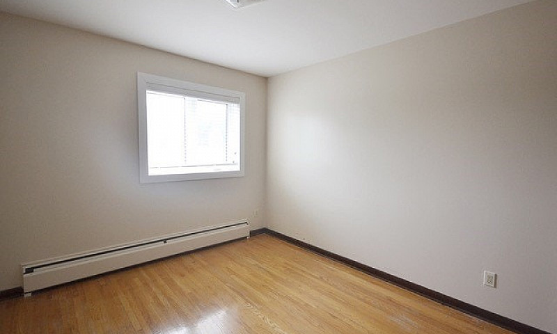 Large 1 Bedroom In T...