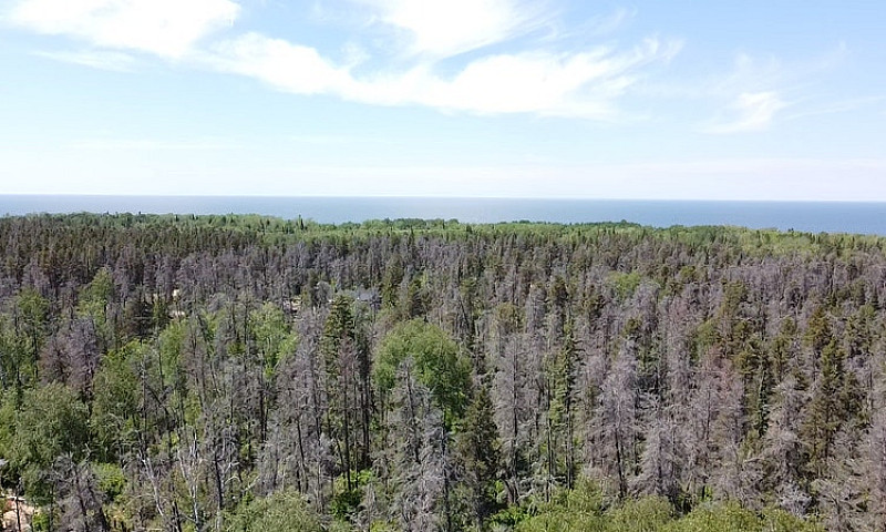 Stunning 1.09Acre Pr...