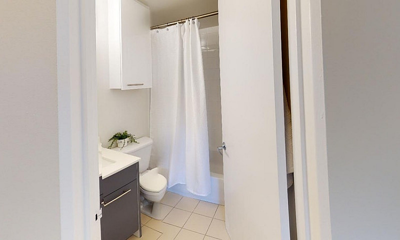 Apartment For Rent A...