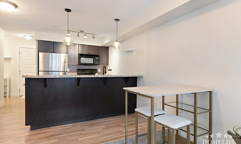 Modern 1 Bedroom + D...