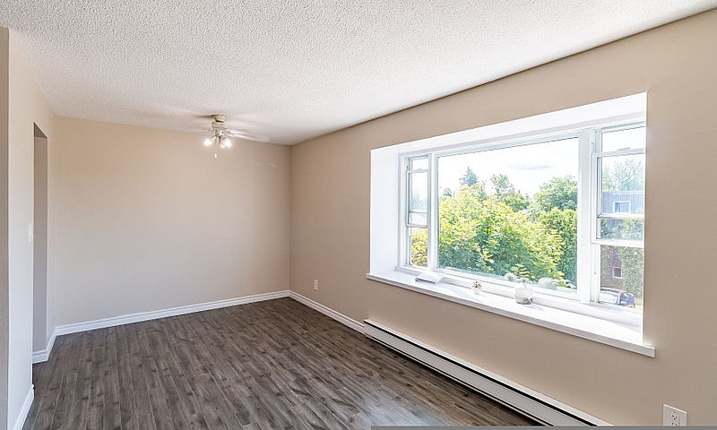 1 Bedroom Apt All In...