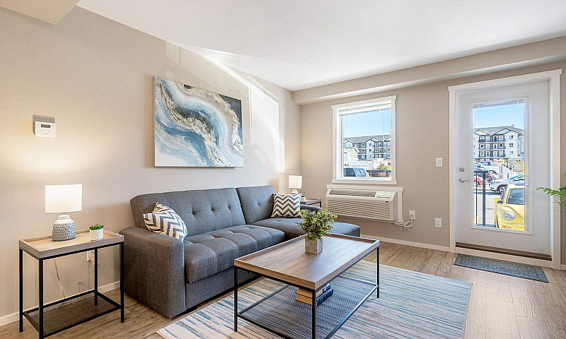 Pet-Friendly Three B...