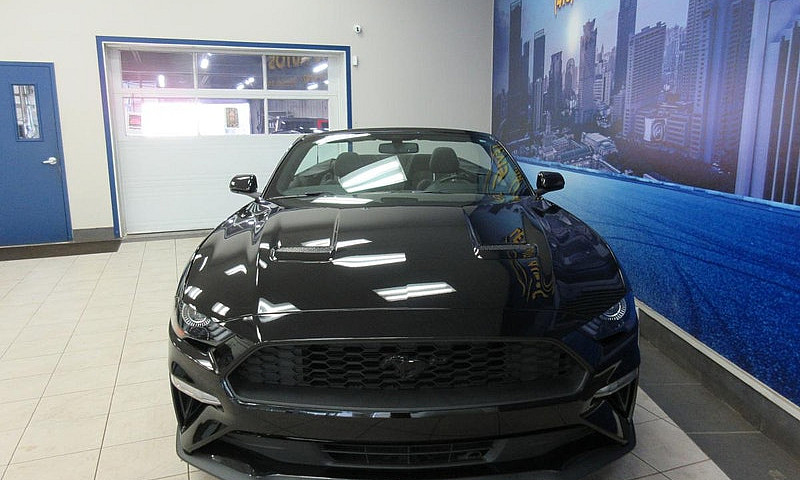 Ford Mustang 2018 Co...