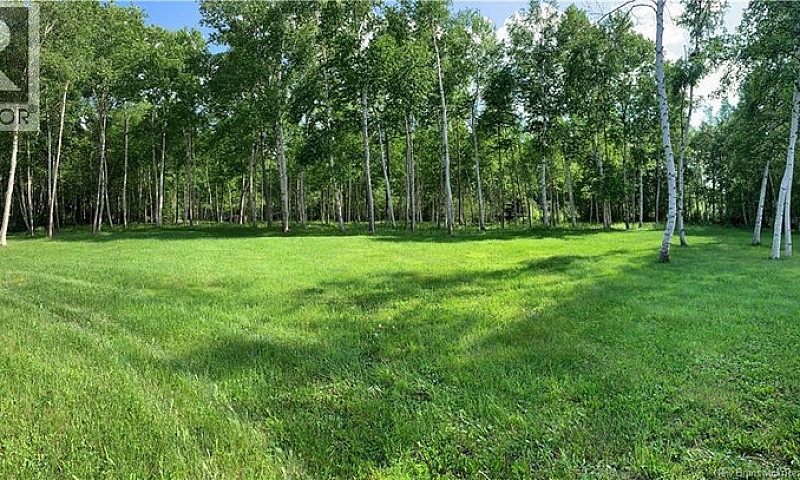 Vacant Land Goulette...