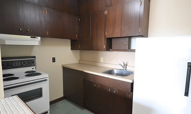 Large 1 Bedroom In T...