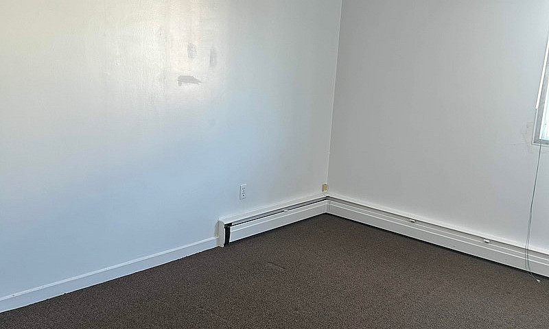 Pet-Friendly Apartme...