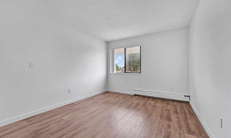 1 Bedroom Apartment ...