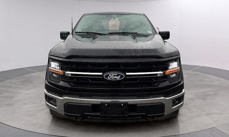 2025 Ford F-150 Xlt ...