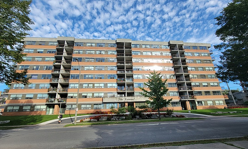1 Bedroom Apartment ...