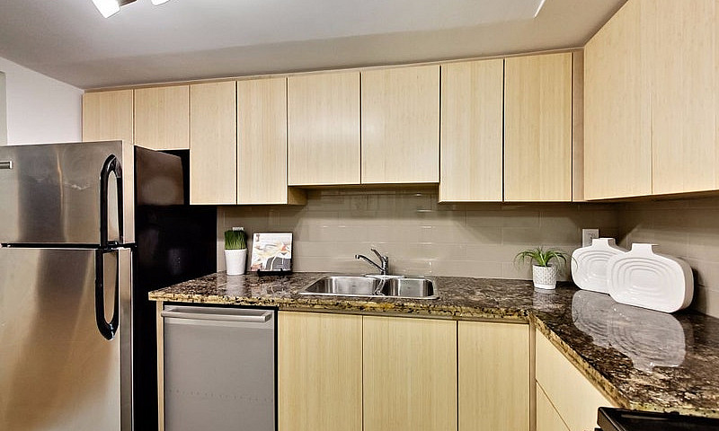 1 Bedroom Apartment ...