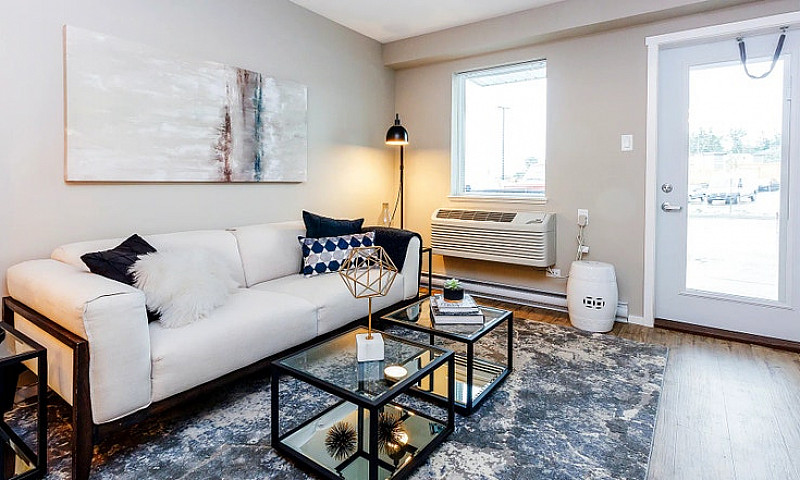 Pet-Friendly Three B...