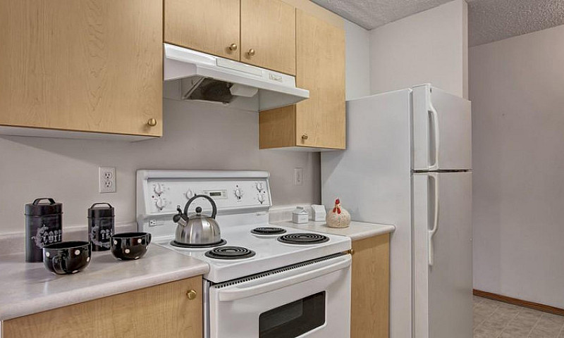 Spacious 1 Bedroom A...