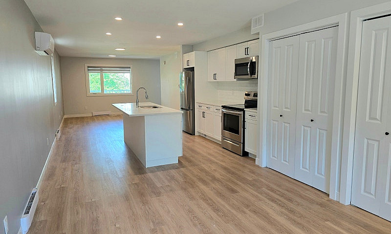 Main + Lower Floor D...