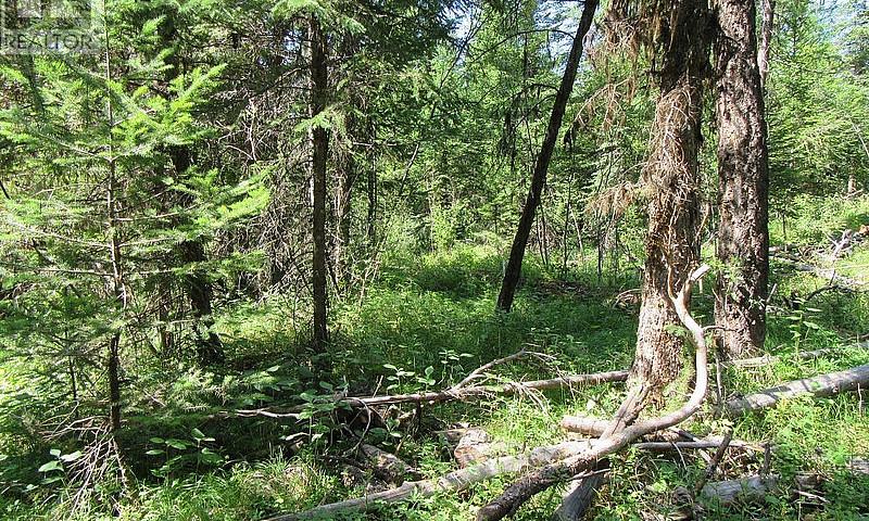Lot 172 Womack Road ...