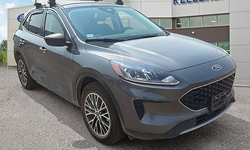 2022 Ford Escape Se ...