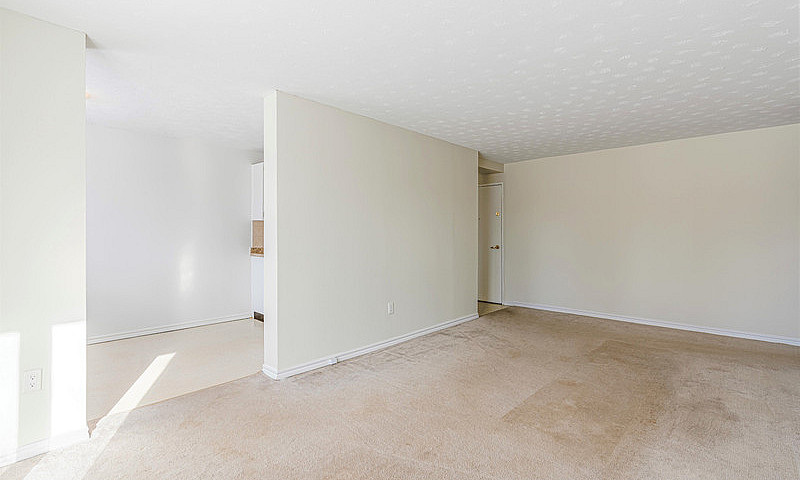 Fergus 1 Bedroom Apa...