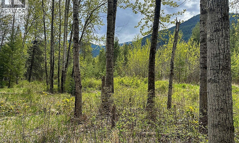 Highway 6 Lot# 4 Pas...