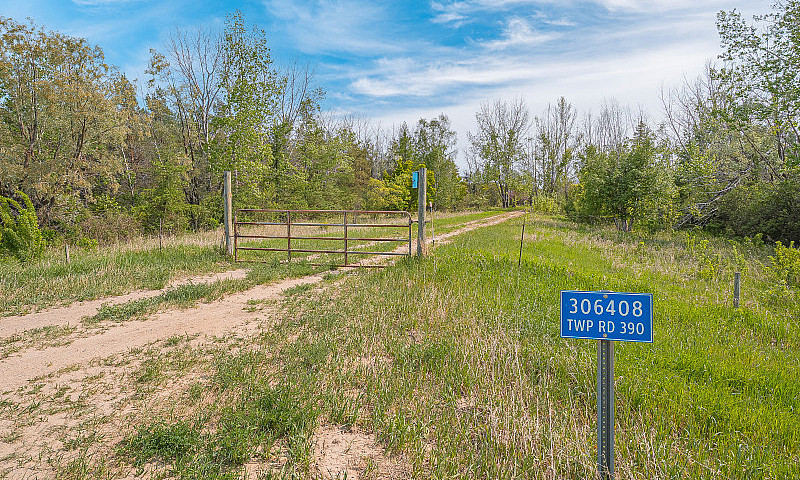 Serviced 10-Acre Tre...