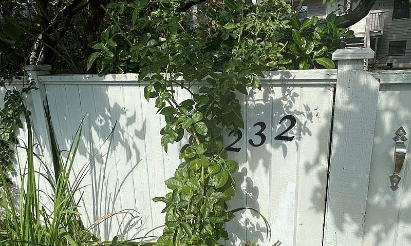 232 E 17Th Street No...